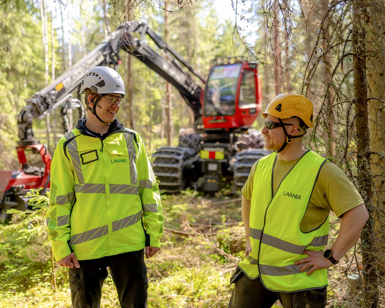 ensiharvennus-featured-1280x960