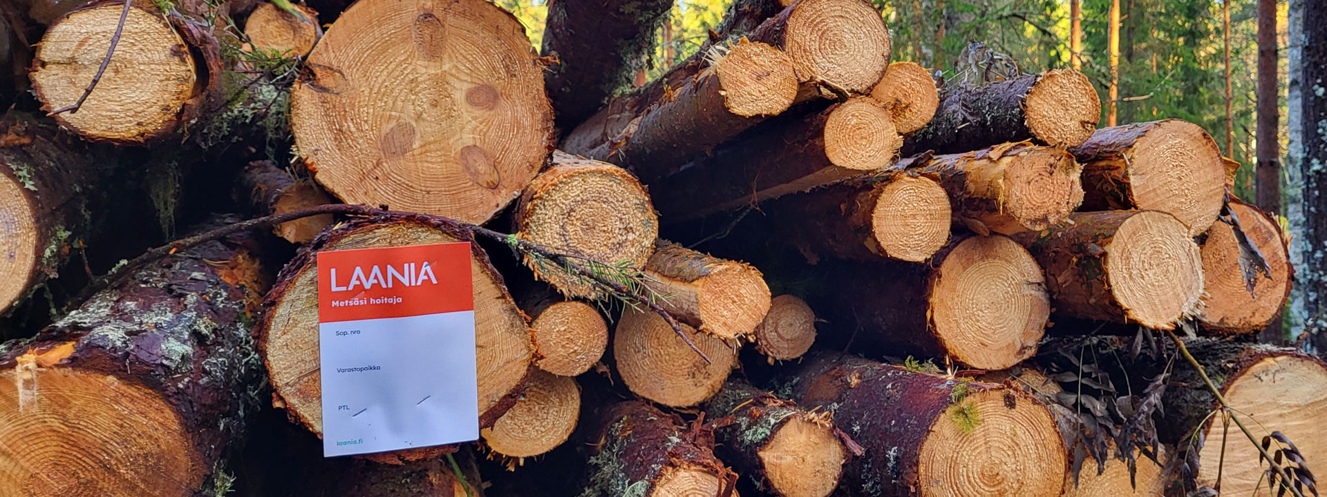 ajankohtaista-12-08-24-header-1920x720