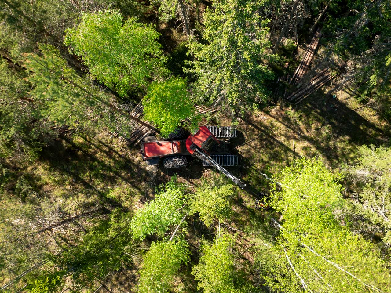 ensiharvennus-uutiskirje-1280x960-1